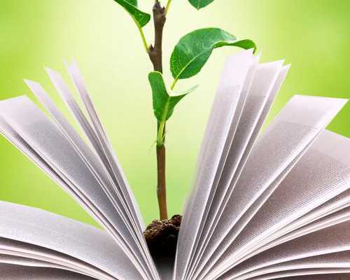 到香港验血男女需要多少费用,试管中囊胚会有染色体缺失吗