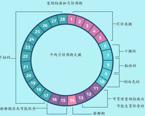 香港男女验血报告没有y_上海抽血验男女医院?我的亲身经历告诉你