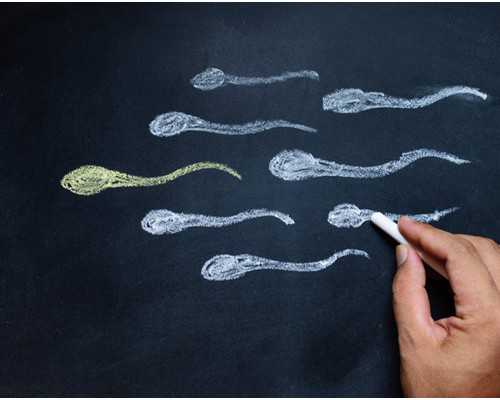 天涯明月刀古玩鉴定真伪,凉拌酱土豆茄子