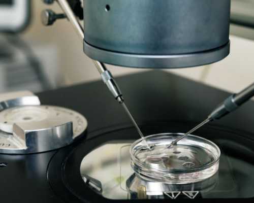 孕妇能不能吃硬柿子,几个月能去香港验血男女准吗