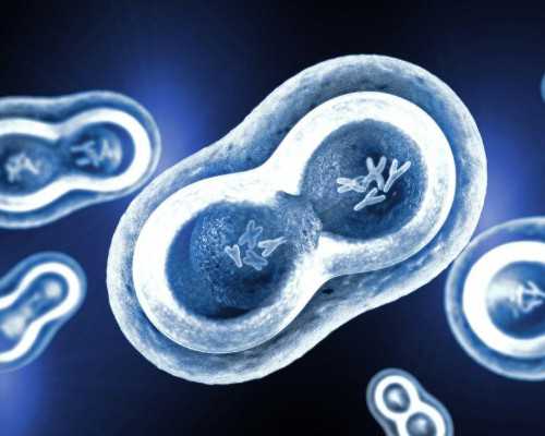 香港验血付钱就不理人_香港验血三大权威医院地址_验到男孩女孩有人翻盘的吗