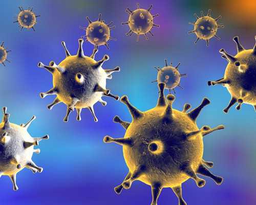 香港验血不到半年又怀孕,香港怀上多久可以验血分男女_结果真的哪么准吗!