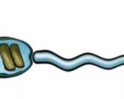 【香港时代医疗化验所】孕妇能不能吃杏脯,怀孕感冒了还能香港验血吗