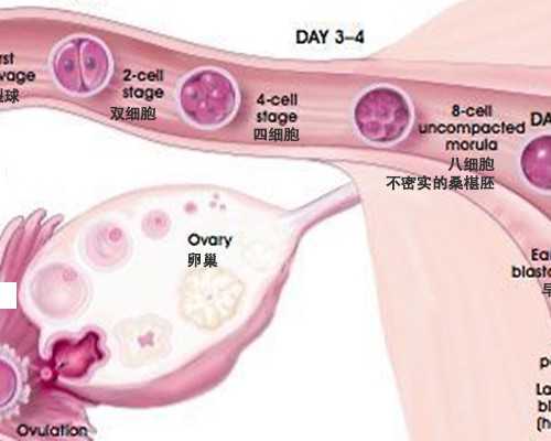 去香港验血需要找中介吗,黑龙江天元妇产医院生殖科可以做供卵（借卵）试管