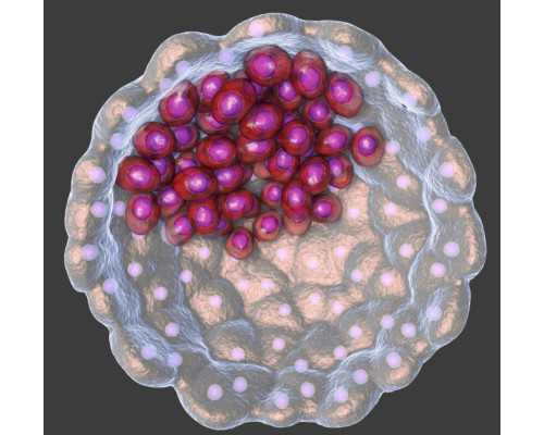 香港验血女翻男有吗,香港验血要求什么血型没_居然只要2600!