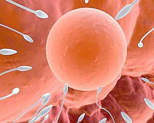 公司直接收购古玩靠谱吗,梦见贺卡