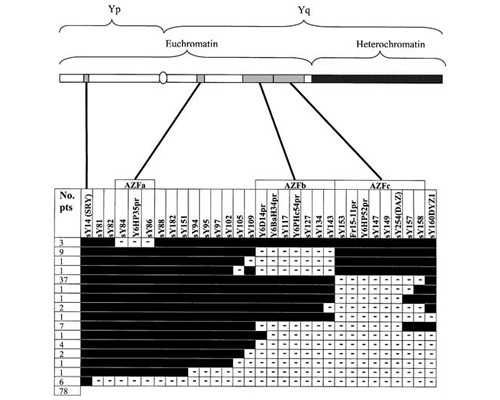 去香港验血查男女准确率大吗,多囊做试管能成功吗?