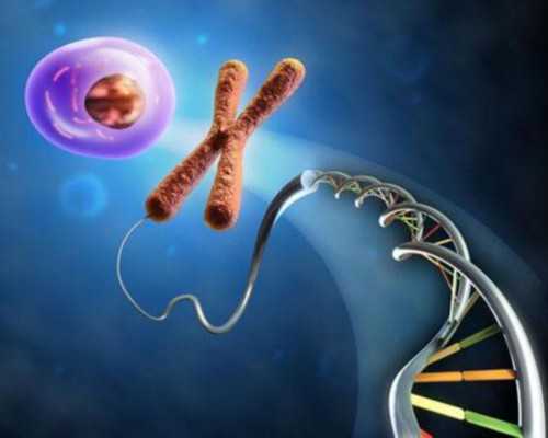 古玩虫哪里能看,属兔白羊座和属羊射手座配对指数分析感情好吗