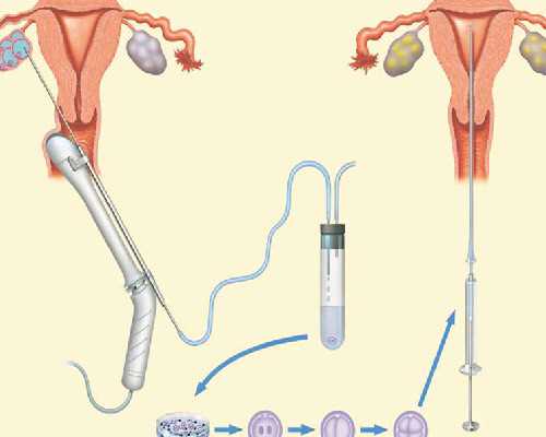 中华古玩网官网优惠券,婚姻幸福的八字命局组合搭配