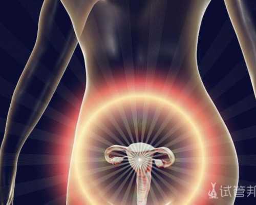 古玩捡漏从1985开始下载,梦见盖了个楼