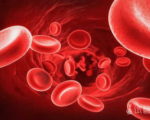 中华古玩收藏网刺刀,仙气飘飘的星座女