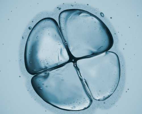 古董古玩电视剧大全,减肥期间为什么会便秘?