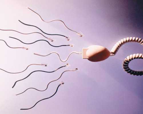 香港验血鉴定男女怎么看的,试管婴儿违法 试管婴儿前男女方应该怎么做