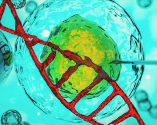 香港孕6周和7周验血的方法一样吗_香港验血测男女什么时候可以验_查男女哪家