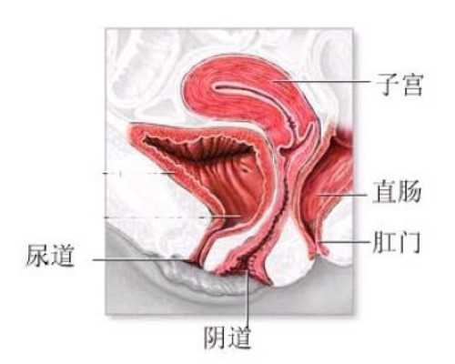 潘家园古玩市场开业了吗,7岁女孩乳房提前发育，达菲林针皮下注射后成功好转