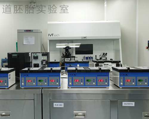 有一本小说女主是古玩修复师_减肥运动前后的进食有讲究