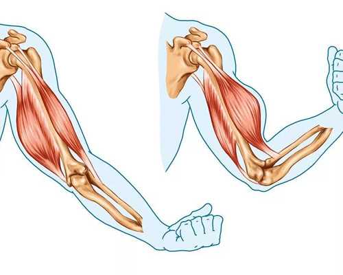香港验血哪几家机构是正规的,除了香港验血查男女_性别鉴定费用是多少!