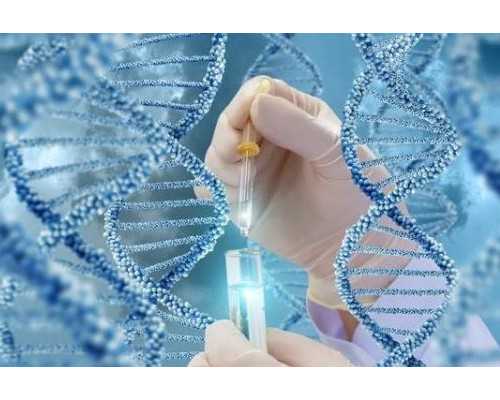 闺蜜分享香港验血测男女行程攻略,具体看详情,香港验血有什么机构