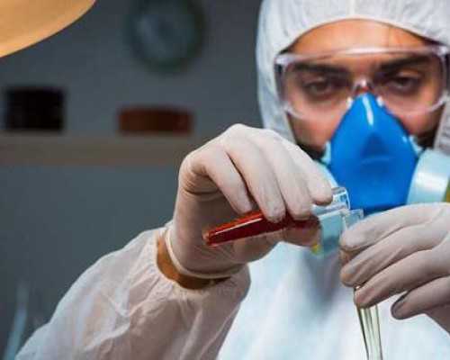 美国电影老古玩店,鼓励外商投资产业目录（2025年版）