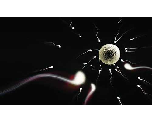 怀孕一个月生化了香港验血有影响吗,多长时间可以香港验血_查性别需要什么条