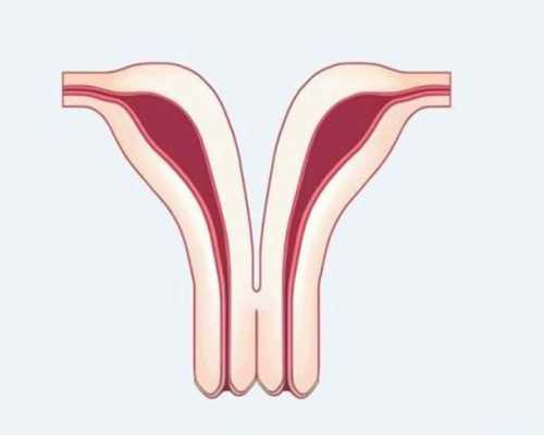 四川成都古董古玩交易中心,肥胖症怎么减肥效果好