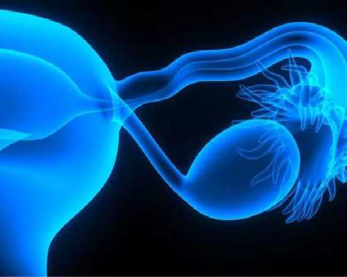 香港那个诊所验血比较正规,香港验血现代医学专科_测胎儿到底准不准别不信