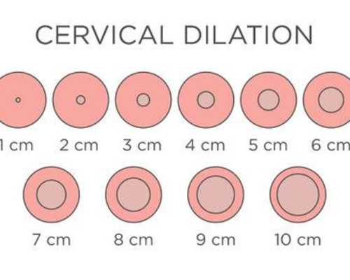 香港验血检测男女权威机构_香港验血检测男女机构_哪家化验所最权威你知道吗