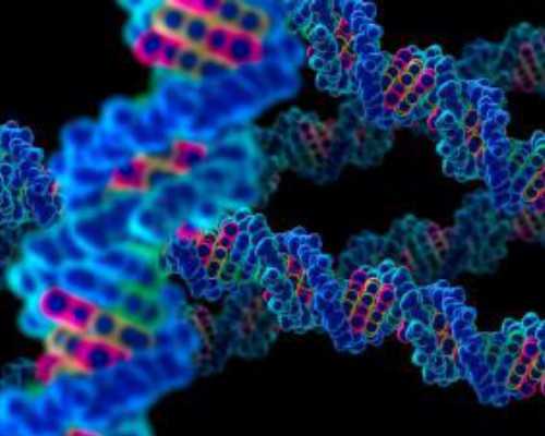 香港验血大概费用多少费用多少钱啊,助孕的中药有哪些？