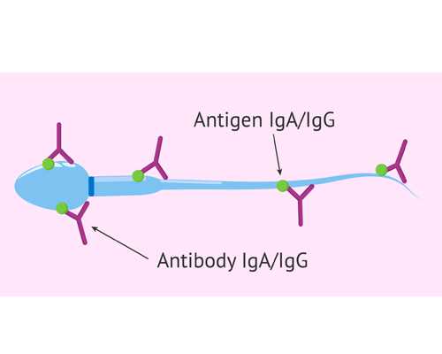 北京正规古玩瓷器收购公司免费鉴定_十大贵命命格八字上等的命格