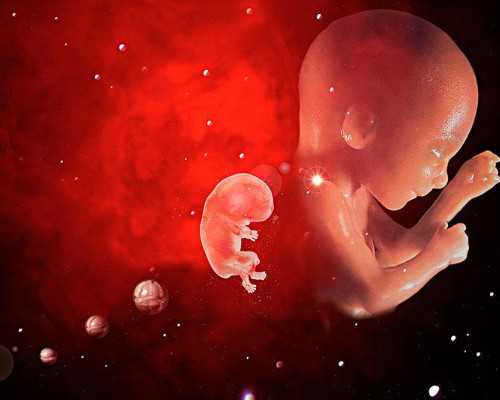 香港验血男女有没有验女生男孩的,香港2个月孕期查性别_哪个验血机构最好!