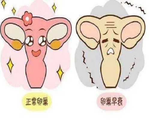 香港验血价格都不一样这是怎么回事_亲自体验的,香港验血测男女假阳性