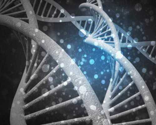 古玩意思_女命婚姻最不幸的日柱丁巳庚申