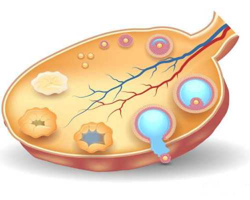 正规古董古玩拍卖公司,巨蟹女要远离的星座男