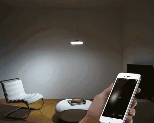 香港验血怎么找可靠的中介,支原体感染对生育的影响,怎么做试管婴儿