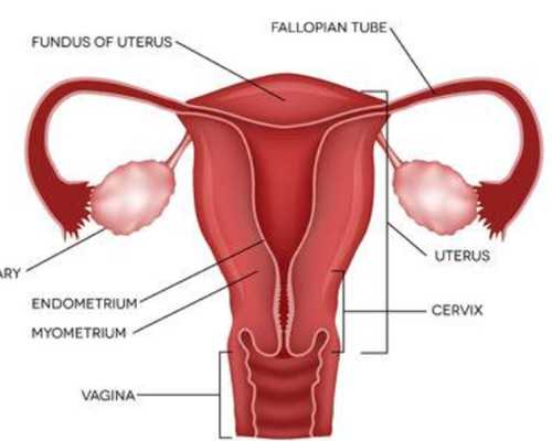 到香港验血查男女多少钱,佛山人工授精辅助生殖助孕医院并不多，费用大概是