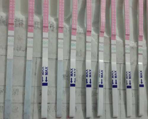 是不是寄血去香港验血都是女孩,香港验血结果多长时间出来_dna胎儿性别真会翻