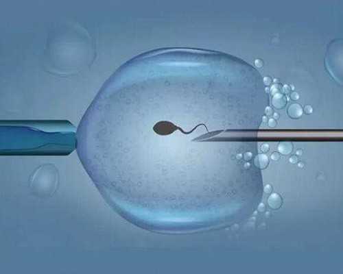 李成儒沉浮古玩虫捡漏,冬天吃什么养胃最妥当