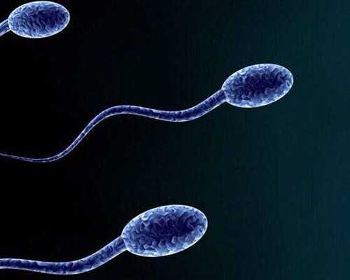 天涯明月刀古玩鉴定金弥勒,绝对不长胖饭前吃个梨