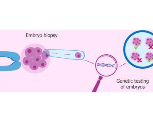 有古玩免费鉴定平台吗,生辰八字五行缺金怎么取名