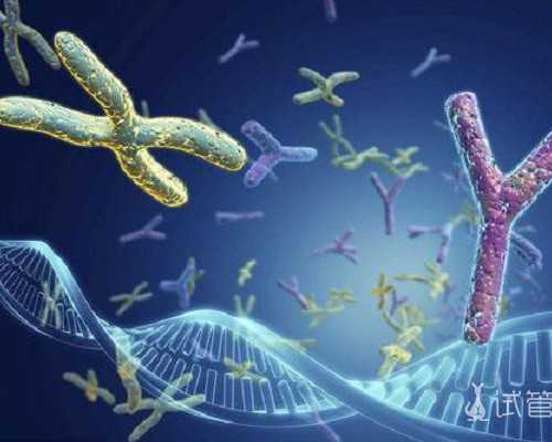 8周香港验血是男孩准吗,国内哪个医院做第三代试管最好？成功率高的十家医院