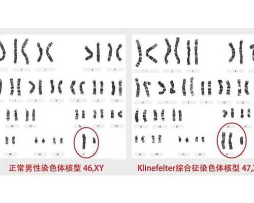 香港验血中介2800块钱靠谱吗,备孕期间做头发可以吗