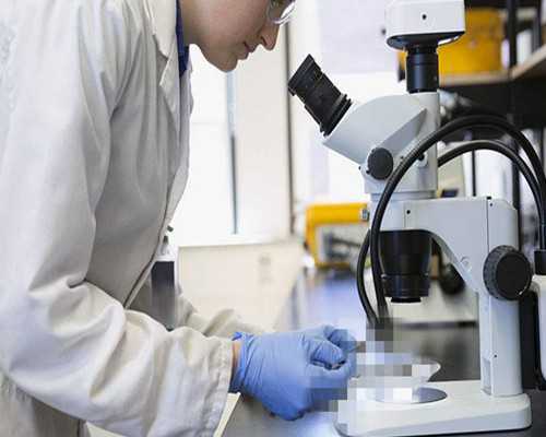 香港安心健康验血准确率,怀孕2个月香港验血男女准不准_性别鉴定会不会翻盘