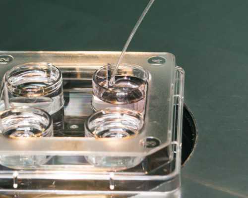 三胎香港验血是女孩准吗,熬夜会影响怀孕吗？科学备孕三要三不要，早了解早