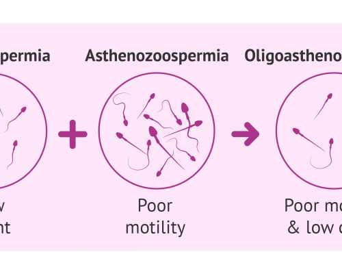 长治市古玩钱币市场_狮子男最舍不得分手的星座女