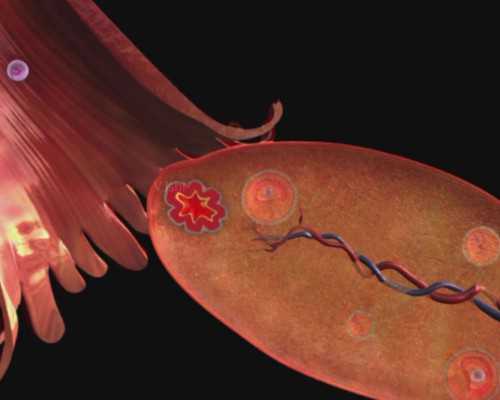 梦见买古玩玉器,女铁扫帚命的后果癸怕甲戍是天扫