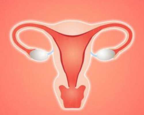 香港哪里验血能查出男宝女宝吗,如果你的另一半无法生育你会选择借精/借卵生