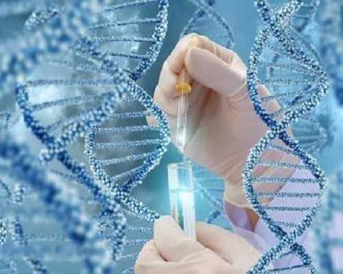 古玩鉴定师证书怎么考,拉力器正握下拉