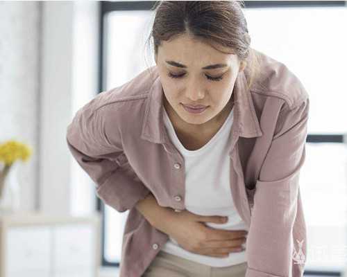 2023年下半年全国古玩交流会,妙用小浴刷刷刷减全身