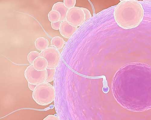 全国古玩最大的市场,减肥你敢不吃这些？胖死你