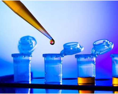 香港验血验男女准确率多高_香港验血什么情况下要复查_检测性别需要带些什么